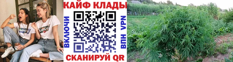  COCAIN Зима