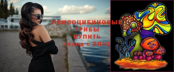 гидра Сатка