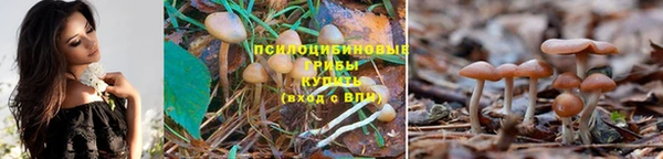молекула духа Саяногорск