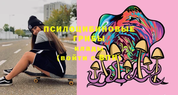 молекула духа Саяногорск